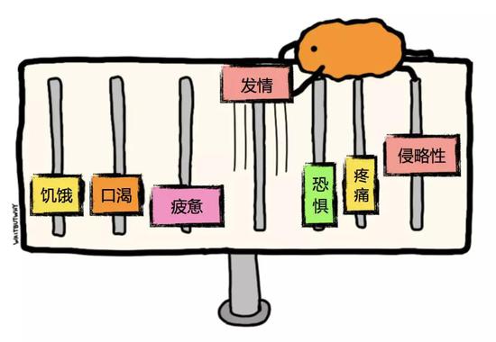 人类我们的故事