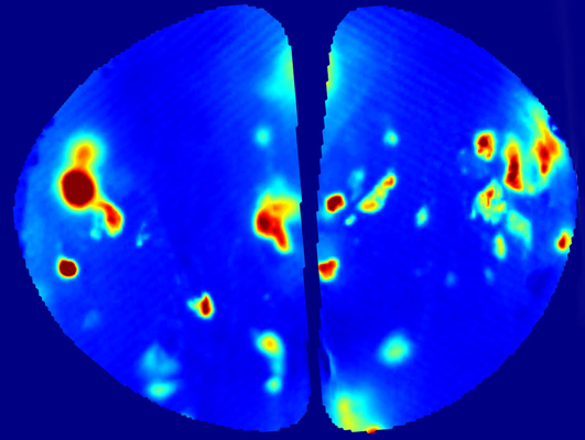 “看”到嗅觉：这张图片显示了一只啮齿动物在闻到戊酸甲酯时的大脑活动。这种油性液体散发出一种果香，常用于香水。大脑神经元内含有萤光蛋白，被气味激活时就会改变颜色，深红色对应更强的神经元活动。 — 该图由纽约大学神经科学研究所林伯格实验室的中山博史（音，Hirofumi Nakayama）博士提供。