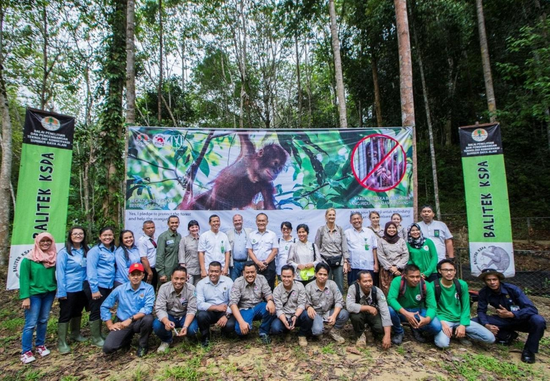 　Four Paws Forest School丨FOUR PAWS