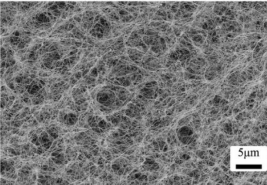 细菌纤维素的微观结构 | 图源:li, g. et al. (2017)