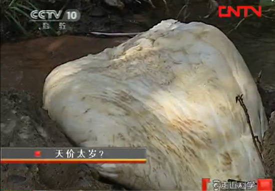 图片来源：中央电视台科教频道