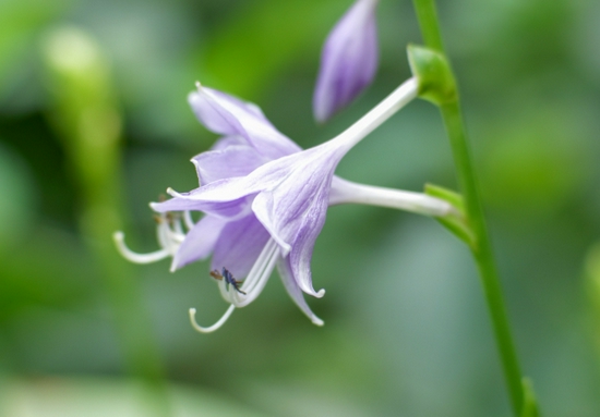 新浪科技综合|大光圈的诱惑 七工匠50mm/0.95镜头试用