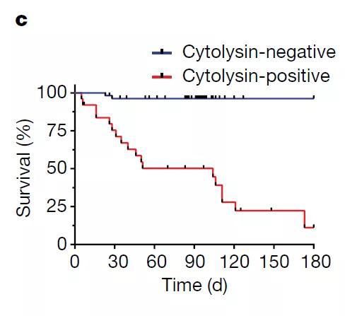 ▲有没有溶细胞素，对患者的生存期有极大的影响（图片来源：参考资料[1]）