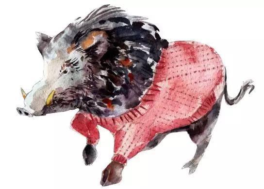 民以食为天,猪肉功不可没|家猪|野猪|佩奇_新浪科技_新浪网