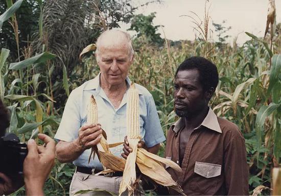 图：布劳格在访问非洲社区和玉米地，1990