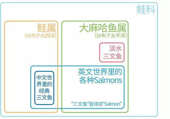某水产协会说虹鳟属三文鱼:它的话你一个字也不用信 图自果壳