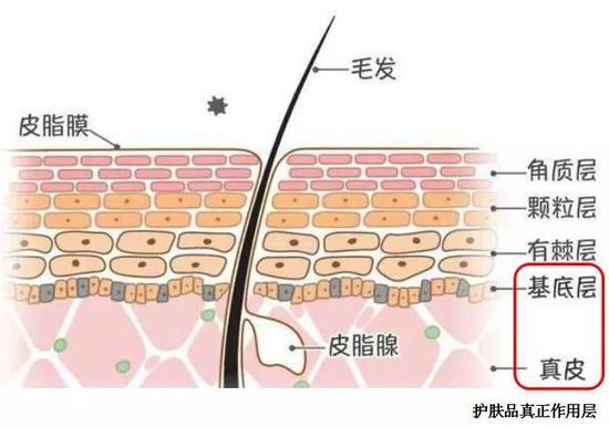 图片来源：https：//www.sohu.com/a/167048153_725849