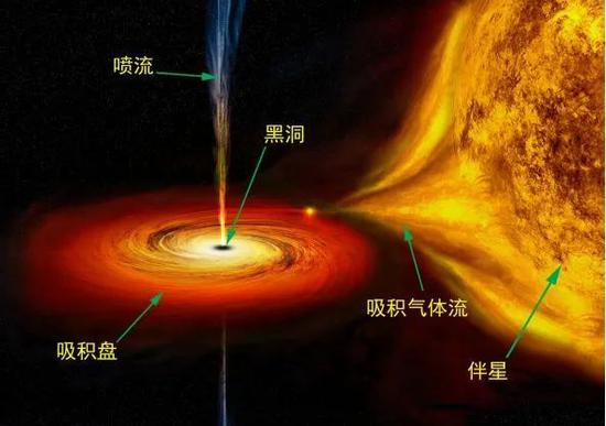 天鹅座X-1黑洞系统的想象图，图片来源：NASA