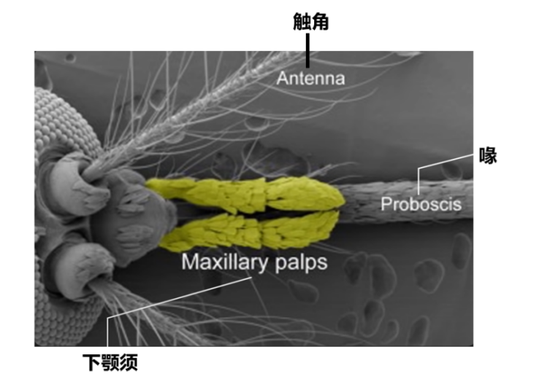 图片来源：https：//www.youtube.com/watch？v=wF5KfsKxK6Q