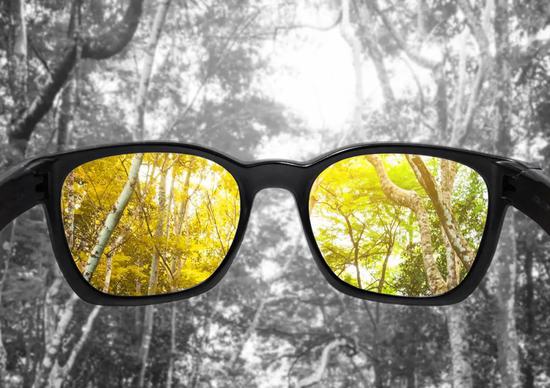 色盲眼镜可以帮一些色盲患者看到一个色彩更鲜明的世界。