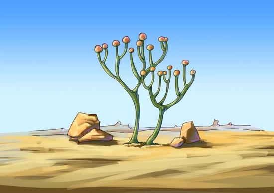 图6 库克逊分布(谭超绘画)图7 瑞尼蕨由于陆生环境与水生环境差异极大