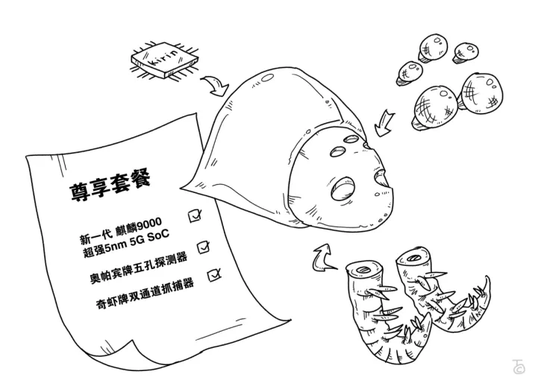 麒麟虾在寒武纪的表现可圈可点,这离不开新结构的有机整合 图片来源:谭超