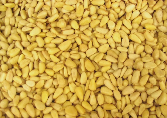 外国人发现吃完中国松子嘴里有怪味，我国随即禁止出口，原理至今不明