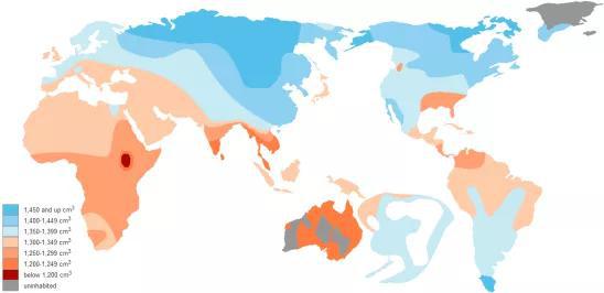 大脑容量地图，截至2014年8月21日 图源：https：//commons.wikimedia.org/wiki/File：Brain_Size_Map.png