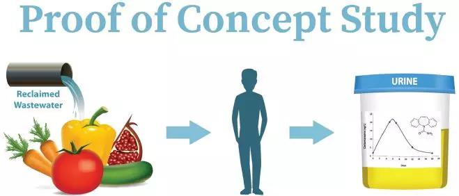 再生水中的卡馬西平通過蔬菜進入了人體。圖片來源：參考文獻［5］