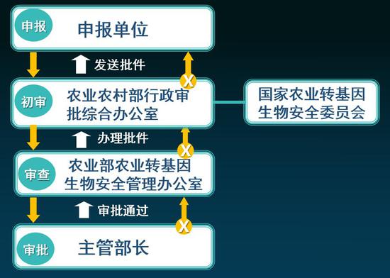 图6  我国农业转基因生物安全审批流程