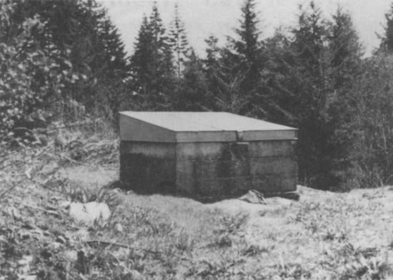 林中的野外地震台ALB。地震仪埋在地下，地面上是保护仪器修建的地震仪窝