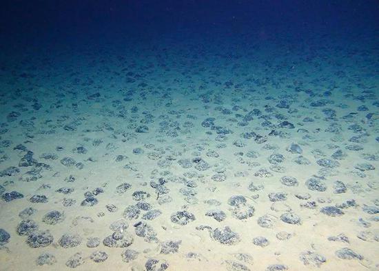 克拉里昂-克里帕顿断裂带（CCZ）海底遍布着锰结核。
