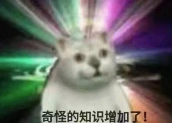 这届年轻人为什么开始在B站看刑法了?