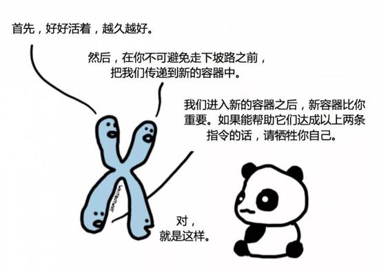 人类我们的故事
