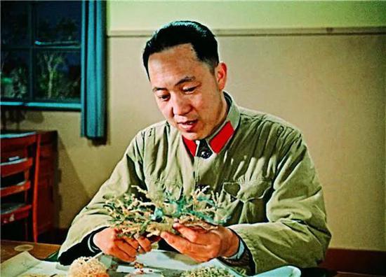 上世纪60年代，吴孟超在制作肝脏血管铸型标本