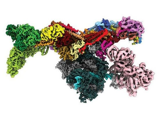 生物史最全“证件照”：DeepMind开放35万种蛋白质结构，超人类知识2倍