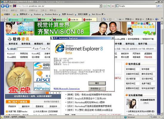 图21 IE8