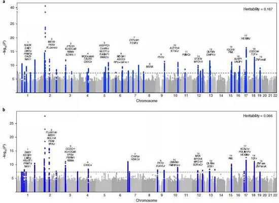 ▲与频繁失眠（上）和包括偶尔失眠在内的各类失眠（下）相关的全基因组分析找到了57个基因位点（图片来源：参考资料[1]）