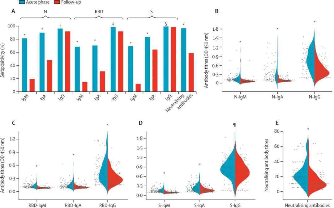 感染急性期（蓝色）和随访期（红色），新冠血清阳性率和抗体滴度的变化。