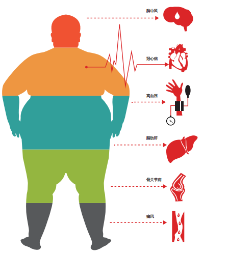 ▲超重和肥胖已成全球死亡率和慢性病发病率持续升高的重要因素之一，并且大大增加了成年人患心血管疾病和癌症的风险。与肥胖相关联的疾病数不胜数，“胖死”绝非空穴来风。