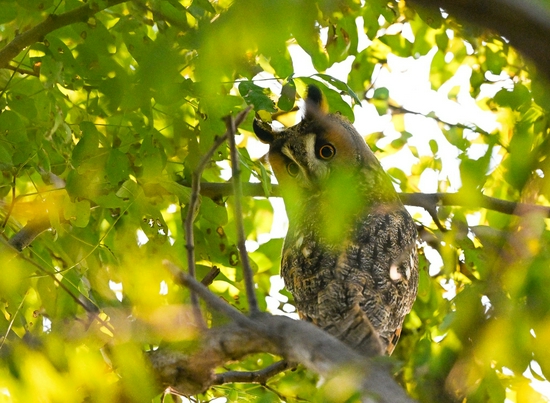 最强即目标 尼康微单旗舰Z 9评测