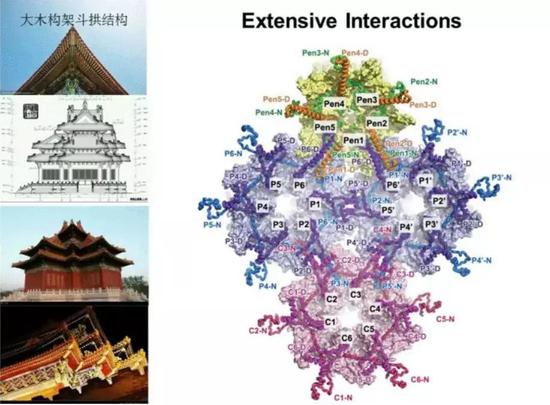 大木构架斗拱结构