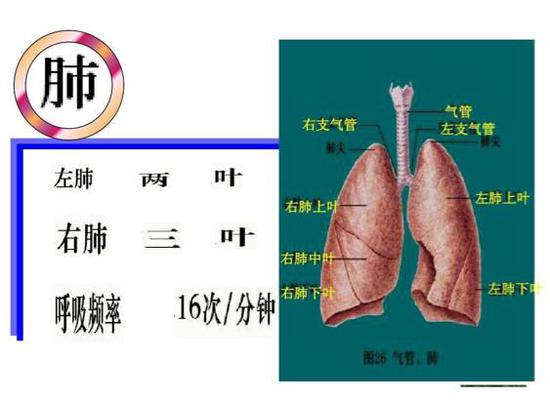  （图片来自网络）