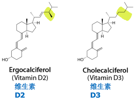 图1：维生素D2和维生素D3的化学结构