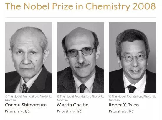  ▲因为发现并开发了GFP系统，三名科学家斩获了2008年的诺贝尔化学奖（图片来源：诺奖官网截图）