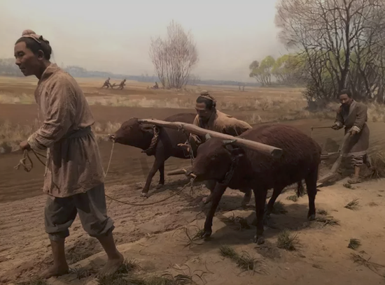 “二牛抬杠”的耕作方式|中国农展馆