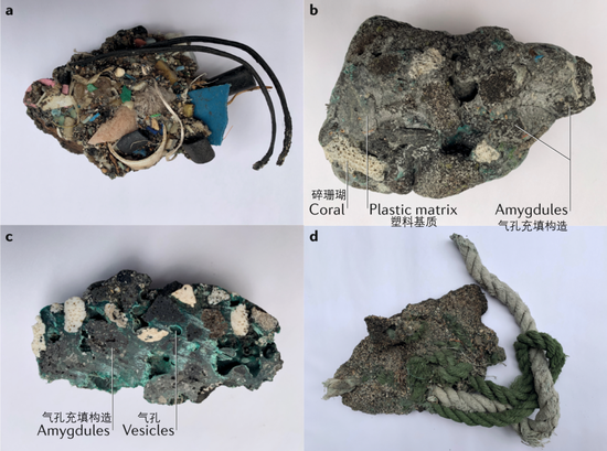 Plastiglomerate，一种当代形成的全新岩石 | 这个单词来源于塑料（plastic）和砾岩（conglomerate），用来描述在自然火场中融化的塑料将一些砂石、贝壳或其他生物硬体，及其他人造物质粘合起来的产物，也许可以翻译为“塑化砾岩”。它质地比较坚硬，也许可以作为“技术化石”，在自然界里存在很久。图源@文献[45]