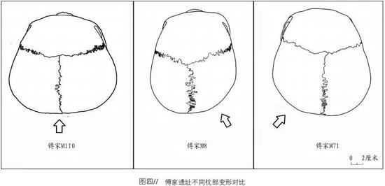 大汶口遗址中出现的扁头 /大汶口文化居民枕部变形研究