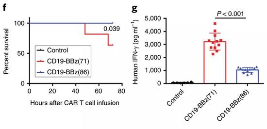 CD19-BBz(86)在小鼠中治疗效果不俗，且副作用更小