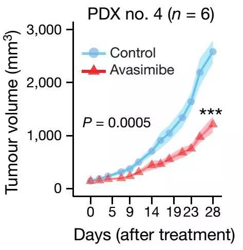 阿伐麦布减小肿瘤体积