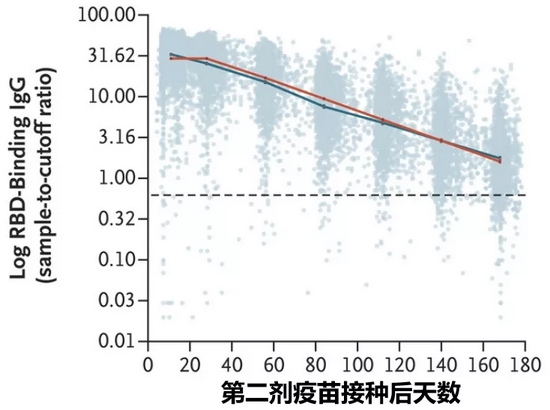 接种第二剂疫苗后，IgG抗体（出现晚、维持时间长的抗体）水平逐月降低，6个月时Log IgG低于峰值的十分之一