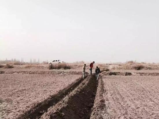 无人机江湖和汪滔的前半生 极飞在新疆的棉花地