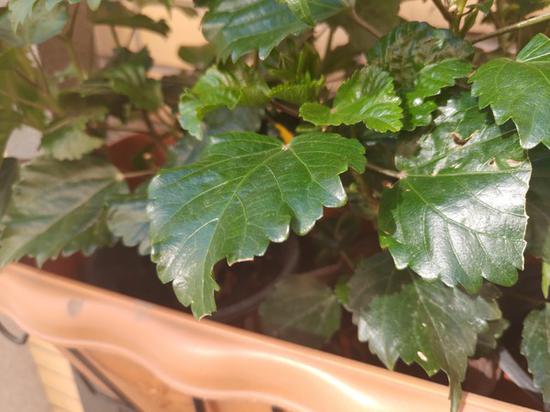 ���R1��������