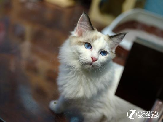 富士GFX 50R实拍样片