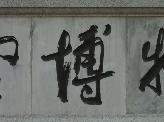 焦距：539mm　 光圈：f/8.0　 ISO感光度：1600