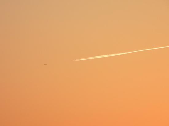 焦距：84mm　 光圈：f/5.0　 ISO感光度：100