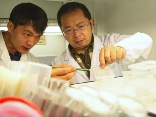 权锐昌研究员和陈占起博士在实验室研究大蚁蛛（图片来源：中科院科技摄影联盟王晓亮）