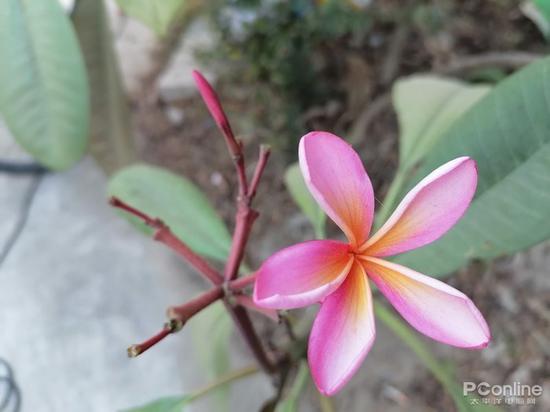 华为畅享10s评测:搭载屏幕指纹与OLED炫彩全面屏