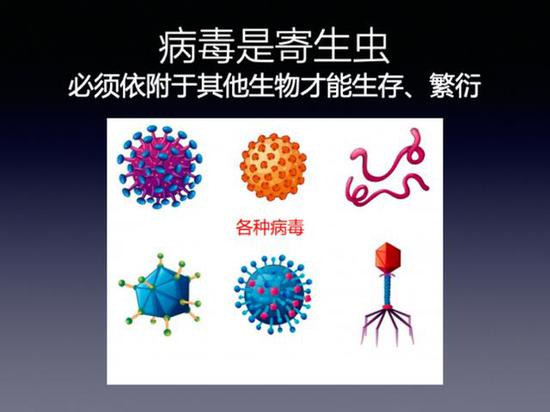 病毒是什么？病毒是怎样入侵人体的？