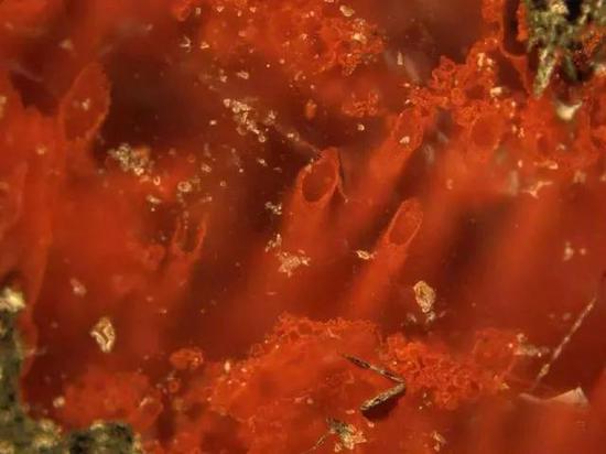 「新浪科技综合」两次“诞生” | 地球是怎么来的？新浪科技综合2020-07-24 11:13:500阅